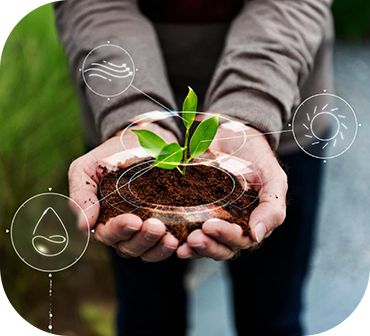 Sustentabilidade